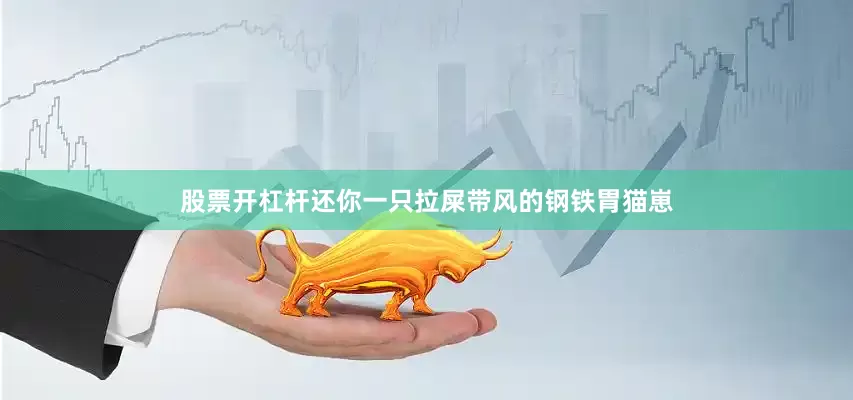 股票开杠杆还你一只拉屎带风的钢铁胃猫崽