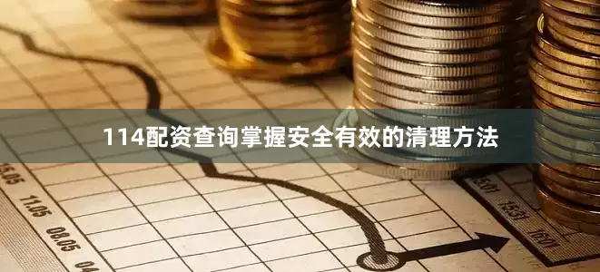 114配资查询掌握安全有效的清理方法