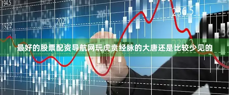最好的股票配资导航网玩虎贲经脉的大唐还是比较少见的